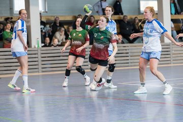 Bild 235 - F HSG Kremperheide/Muensterdorf - ATSV Stockelsdorf 2 : Ergebnis: 47:32
